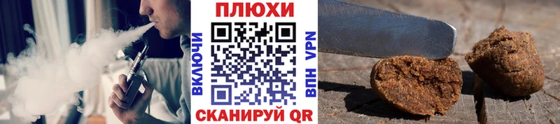 OMG tor  Нестеров  ГАШ Premium 