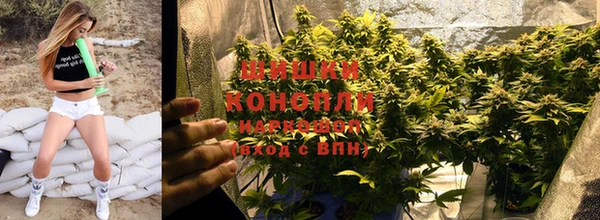 спиды Белокуриха