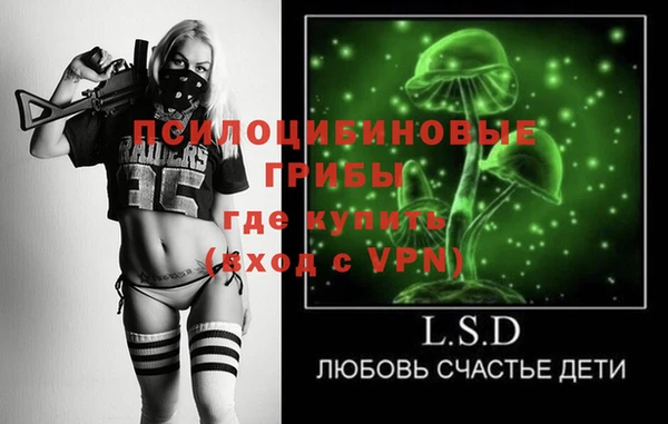гашик Балахна