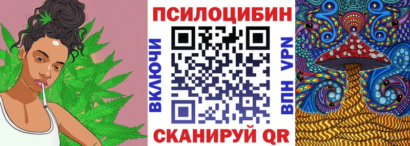 купить закладку  Нестеров  Псилоцибиновые грибы Cubensis 